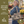 Side-view of woman carrying Small Tote, highlighting quilted patchwork fabric, structured silhouette, and lightweight 100% cotton construction.